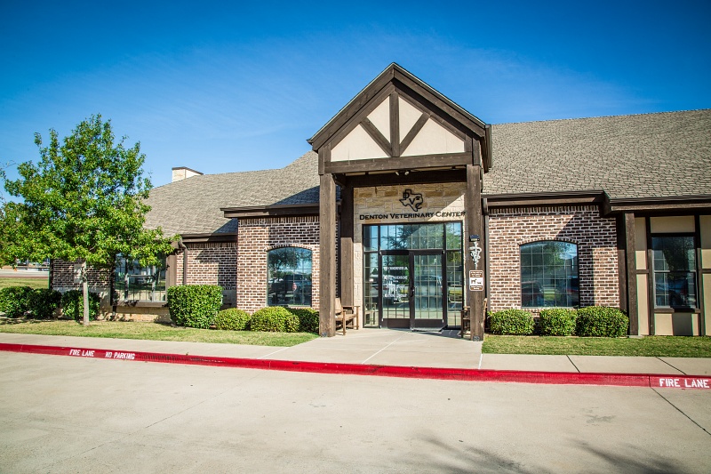 Denton Veterinary Center in Denton, TX