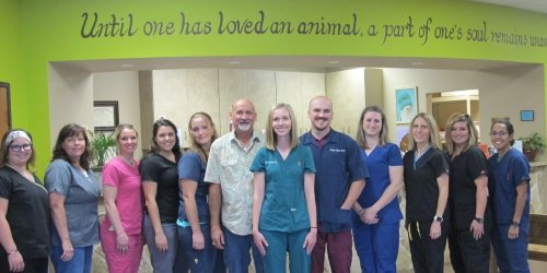 Our Team at Denton Veterinary Center in Denton, TX